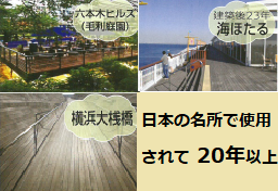 毛利庭園と海ほたると横浜大桟橋